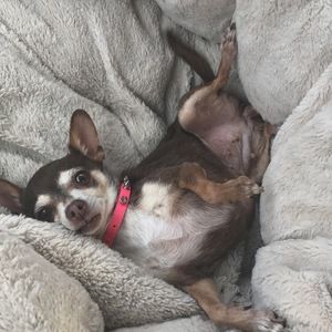 Meet your Posher, Hannah